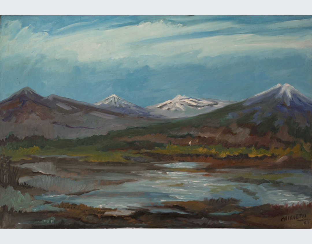 Paisaje Patagónico 2